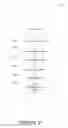 Fig. 21 - Integrated development environment for visual and text coding