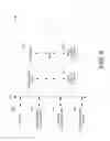 Fig. 10 - Display pixel structures and method of operating same