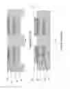 Fig. 09 - Methods of retaining and refreshing data in a thyristor random access memory