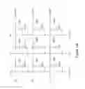Fig. 16 - Methods of retaining and refreshing data in a thyristor random access memory