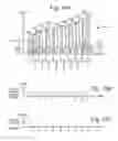 Fig. 15 - Modifying program pulses based on inter-pulse period to reduce program noise