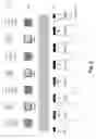 Fig. 06 - Self-timed SLC NAND pipeline and concurrent program without verification