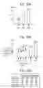 Fig. 19 - Read with look-back combined with programming with asymmetric boosting in memory