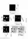 Fig. 04 - DEFECT INSPECTION APPARATUS AND DEFECT INSPECTION METHOD