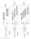 Fig. 06 - Rotating RF electric field antenna for uniform plasma generation
