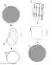 Fig. 09 - COMPOUND MICRO-ASSEMBLY STRATEGIES AND DEVICES