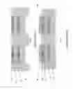 Fig. 09 - Thyristor Volatile Random Access Memory and Methods of Manufacture