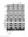 Fig. 01 - Vertical memory device with bit line air gap