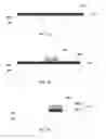 Fig. 04 - SEMICONDUCTOR DEVICE AND RELATED MANUFACTURING METHOD
