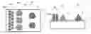 Fig. 01 - Monolithic image chip for near-to-eye display