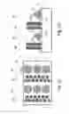 Fig. 04 - Monolithic image chip for near-to-eye display
