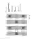 Fig. 18 - Monolithic image chip for near-to-eye display