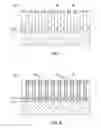 Fig. 05 - Double aspect ratio trapping