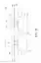 Fig. 03 - Semiconductor device and method for manufacturing the same