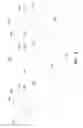 Fig. 12 - Dummy gate structure and methods thereof