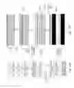 Fig. 13 - Damage free laser patterning of transparent layers for forming doped regions on a solar cell substrate