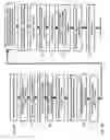 Fig. 54 - Damage free laser patterning of transparent layers for forming doped regions on a solar cell substrate