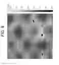 Fig. 10 - Patterned substrate design for layer growth