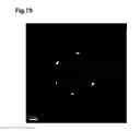Fig. 20 - Thin-film piezoelectric material element, method of manufacturing the same, head gimbal assembly, hard disk drive, ink jet head, variable focus lens and sensor