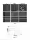 Fig. 02 - Laminate diffusion barriers and related devices and methods