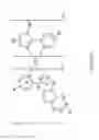 Fig. 04 - Organic electroluminescent materials and devices