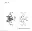 Fig. 15 - Organometallic Complex, Light-Emitting Element, Light-Emitting Device, Electronic Device, and Lighting Device