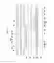Fig. 12 - Thin film encapsulation unit, organic light emitting diode display including the same and manufacturing method thereof