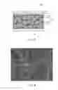Fig. 07 - Electrode complex, method of producing electrode complex, and lithium battery