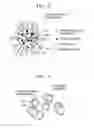 Fig. 03 - Negative active material, lithium battery including the negative active material, and method of preparing the negative active material