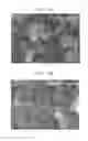 Fig. 04 - Negative active material, lithium battery including the negative active material, and method of preparing the negative active material