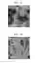 Fig. 07 - Negative active material, lithium battery including the negative active material, and method of preparing the negative active material