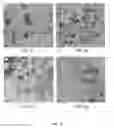 Fig. 04 - CERIUM OXIDE MODIFIED ORDERED MESOPOROUS CARBON CATALYST FOR FORMIC ACID OXIDATION IN DIRECT FORMIC ACID FUEL CELLS