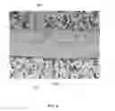 Fig. 08 - SOLID OXIDE FUEL CELL STACK