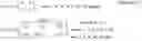 Fig. 02 - Method for receiving downlink signal and apparatus therefor