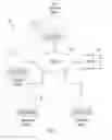 Fig. 02 - Multi-Device Simultaneous Content Sharing