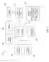 Fig. 02 - AUTOMATICALLY TRANSFERRING PRESENTATION CONTROL