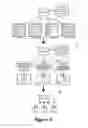 Fig. 06 - Virtual distributed bridging