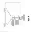 Fig. 05 - Disbursement of registration information to application/service layer at time of registration with a network