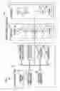 Fig. 02 - Scalable metering for cloud service management based on cost-awareness