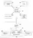 Fig. 01 - Managing classified network streams