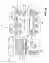 Fig. 14 - Fabric discovery for a cluster of nodes