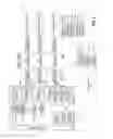 Fig. 06 - Fast smart card logon