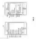 Fig. 12 - Method for secure key injection with biometric sensors