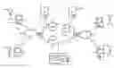 Fig. 01 - Media session between network endpoints
