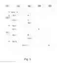 Fig. 04 - SYSTEM AND METHOD FOR CONFIGURING COMMUNICATION SESSION