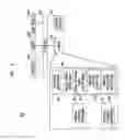 Fig. 05 - Non-overlay resource access in datacenters using overlay networks