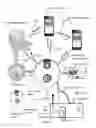 Fig. 04 - Remote interactive identity verification of lodging guests