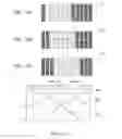 Fig. 07 - Display device and electronic device