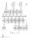 Fig. 42 - Moving picture coding method, and moving picture decoding method
