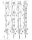 Fig. 45 - Moving picture coding method, and moving picture decoding method